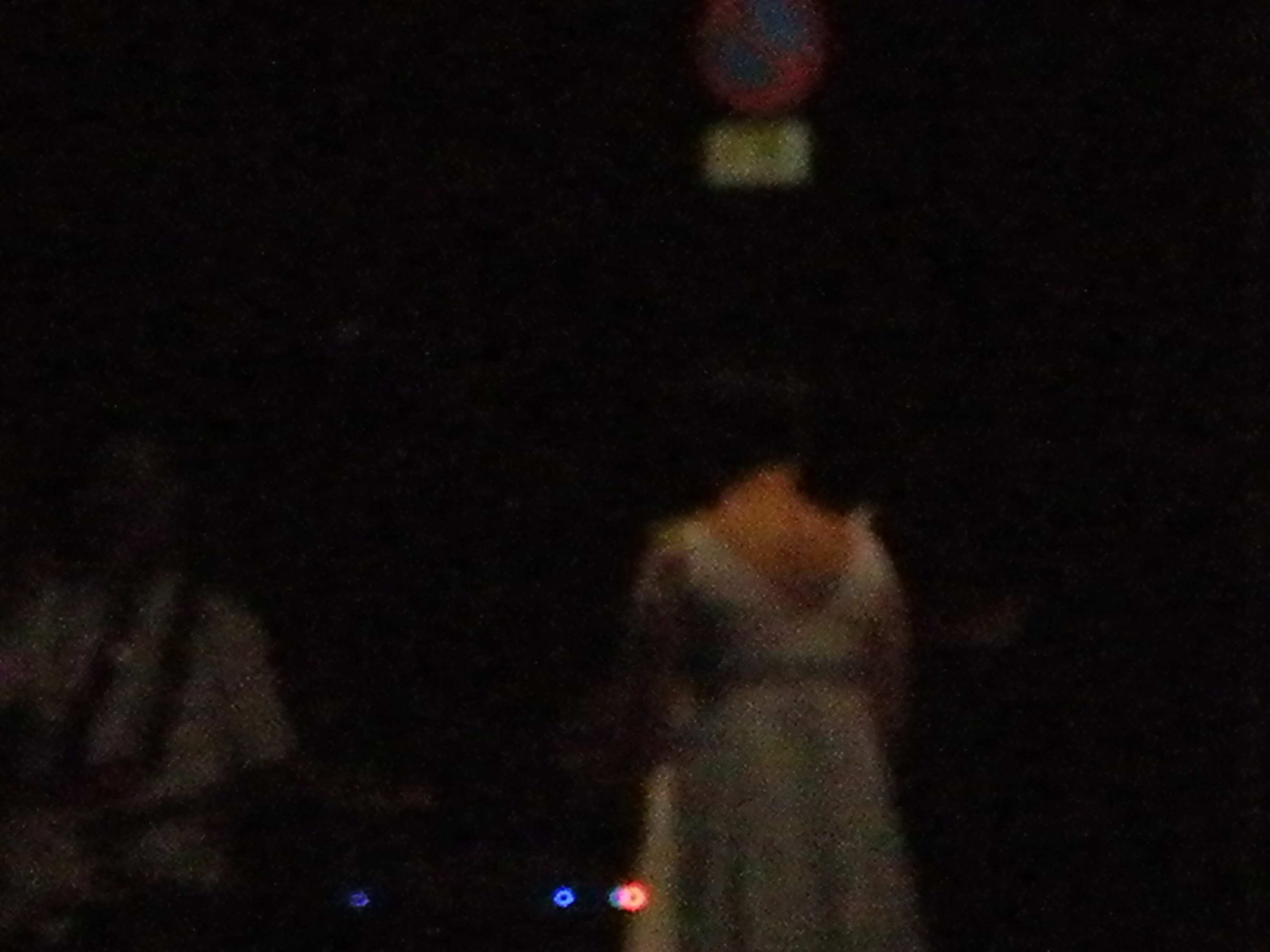 DSCN6513.JPG